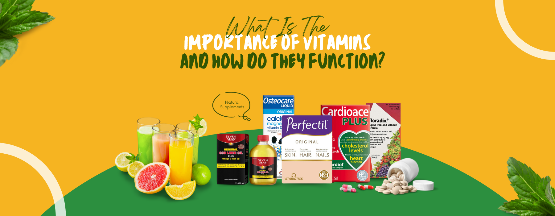What Is The Importance Of Vitamins And How Do They Function? Health Care article